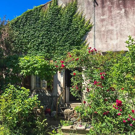 Le Mas Du Figuier, Maison De Vacances Le Bousquet-d'Orb 외부 사진